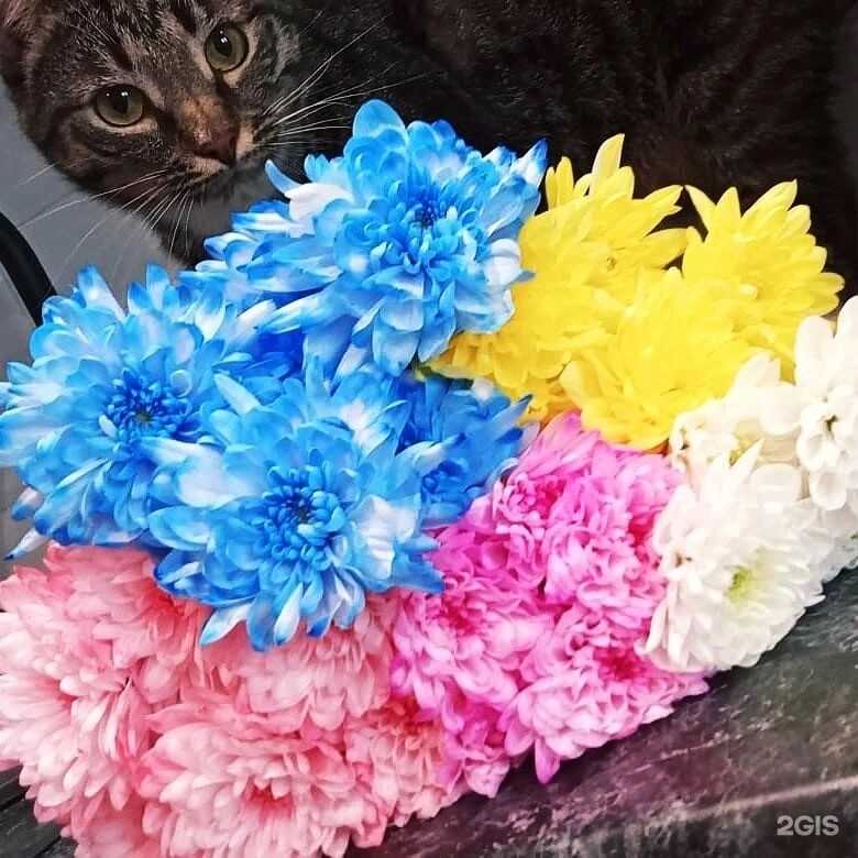 Отзывы на компанию Магазин цветов в Костроме c фото