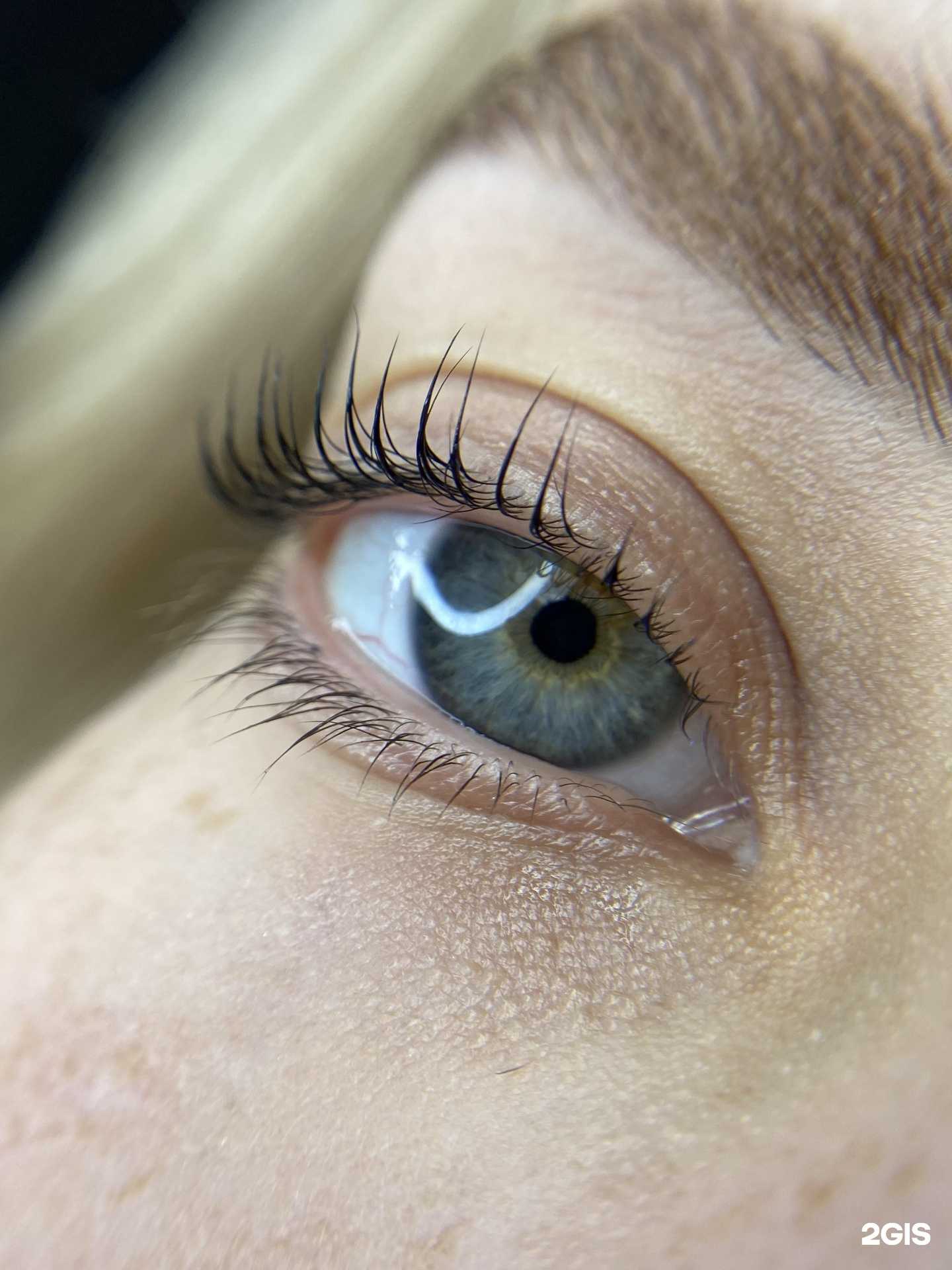 Отзывы на компанию Dnk.brows в Бийске c фото