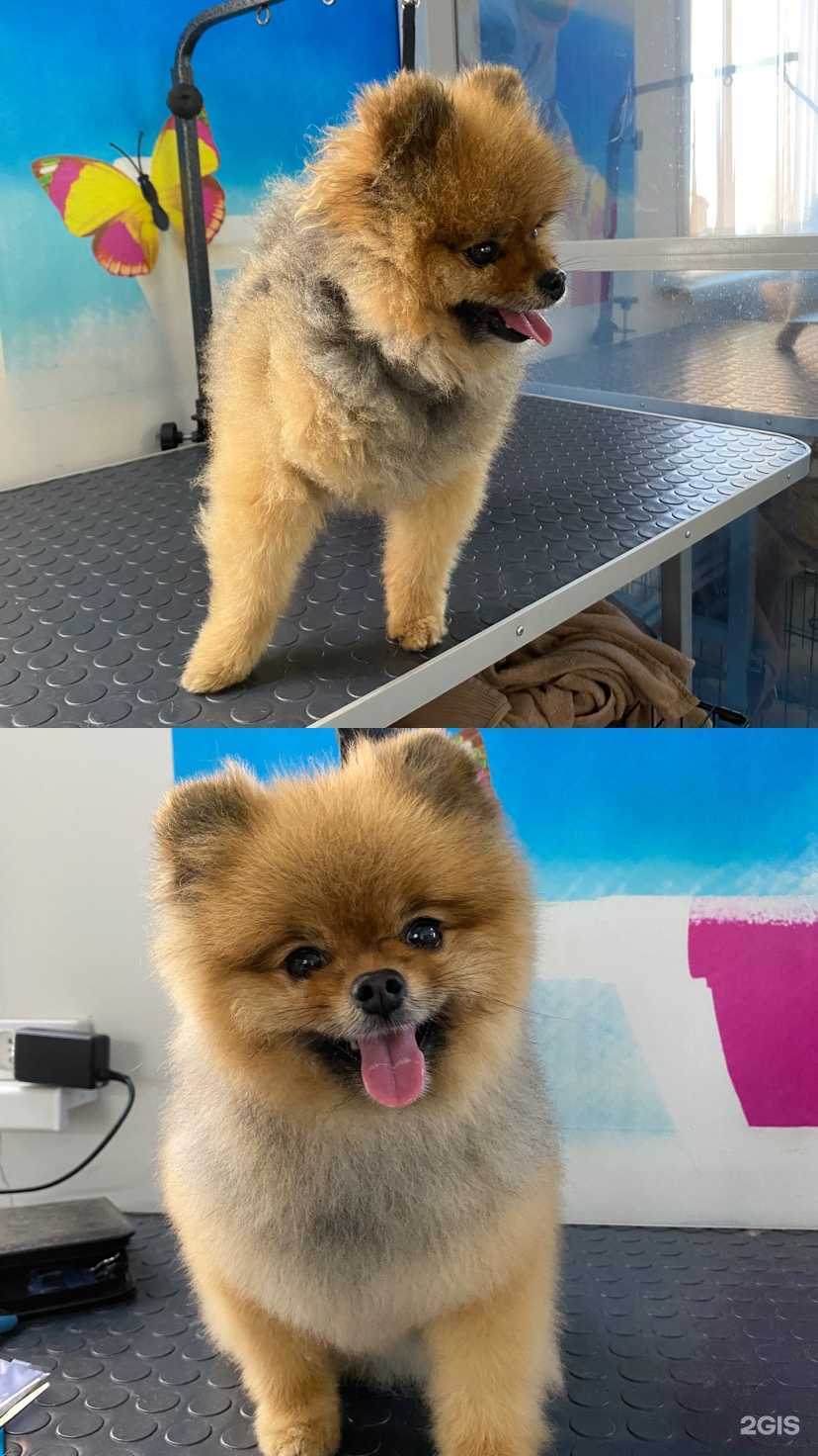 Отзывы на компанию Лайкин Groom в г. Якутск c фото