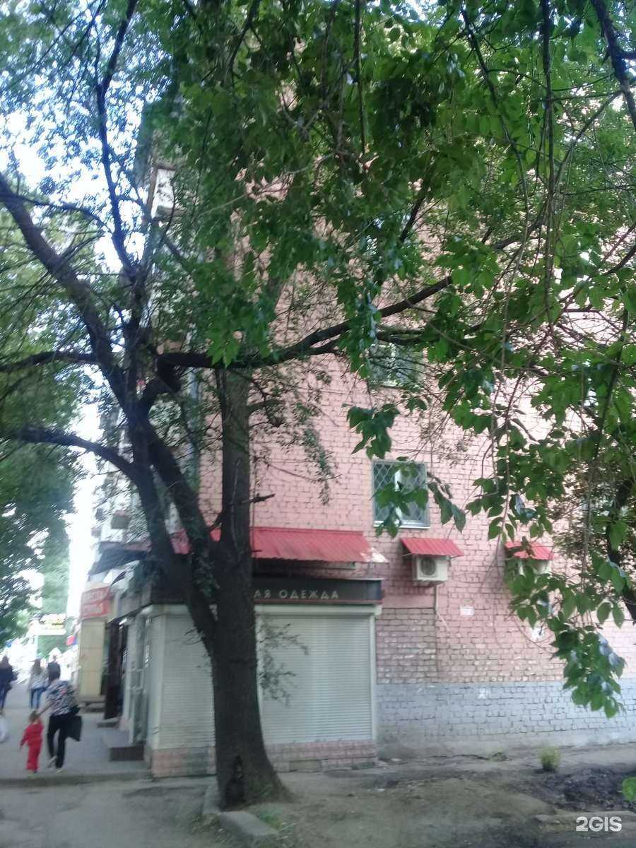 Отзывы на компанию Море стрижек в Саратове c фото - фотография 2 из 2