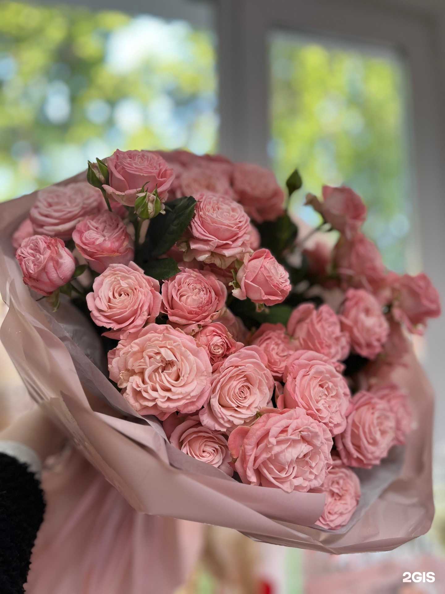 Отзывы на компанию Queen в Лениногорске c фото