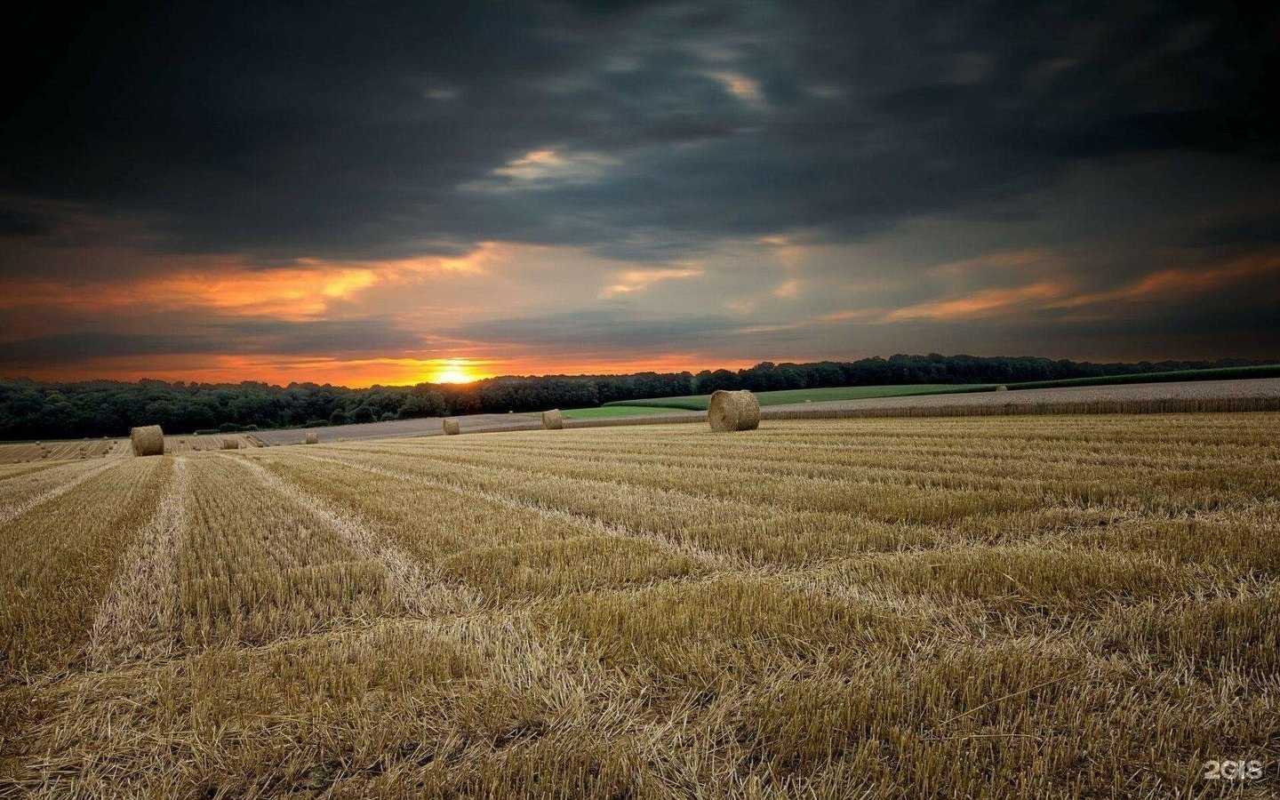 Отзывы на компанию Benefyt в г. Якутск c фото