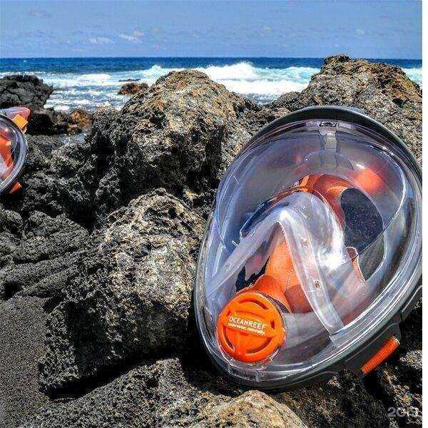 Отзывы на компанию Bigswim в Екатеринбурге c фото