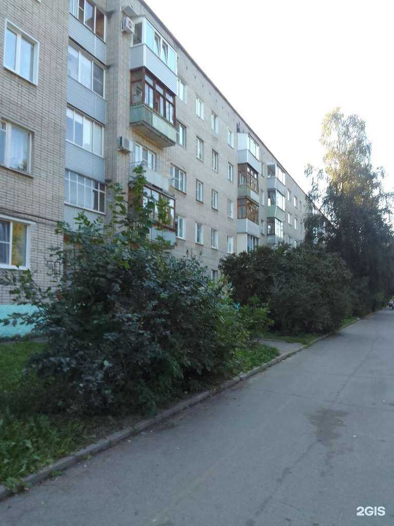 Отзывы на компанию Бандикут в Владимире c фото - фотография 2 из 2