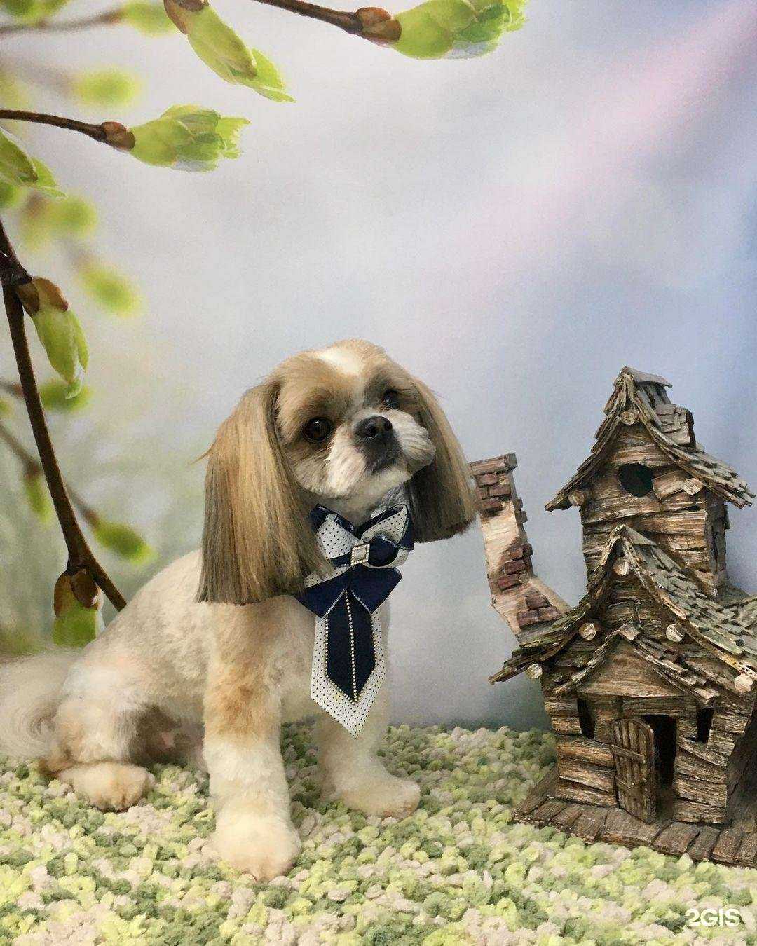 Отзывы на компанию Valeria groom в Тамбове c фото