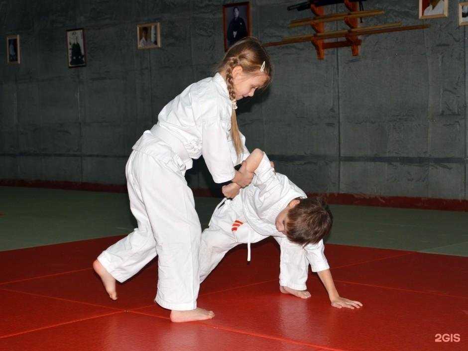Отзывы на компанию Клуб Томики айкидо в Курске c фото