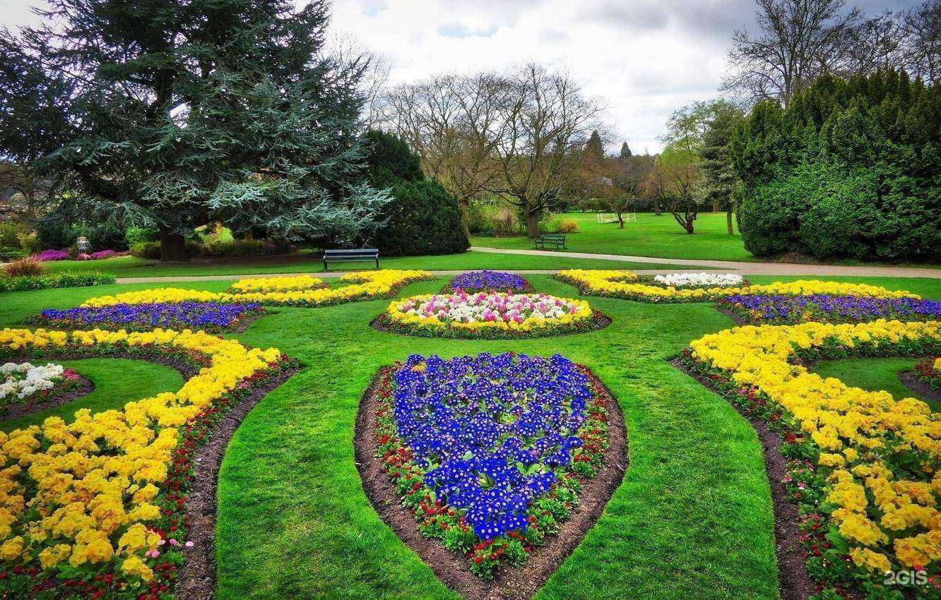 Отзывы на компанию Gazonm в г. Воронеж c фото