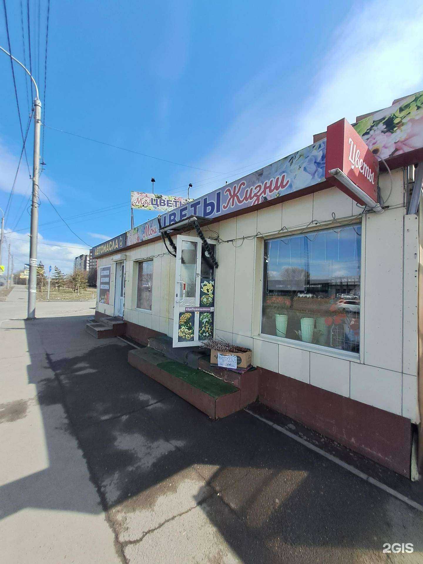 Отзывы на компанию Мои Цветы жизни в Красноярске c фото - фотография 2 из 2