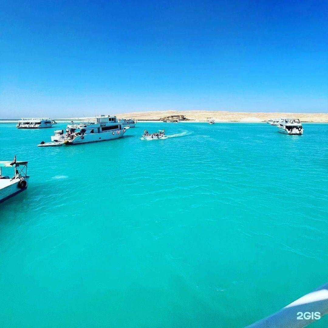 Отзывы на компанию География в г. Барнаул c фото