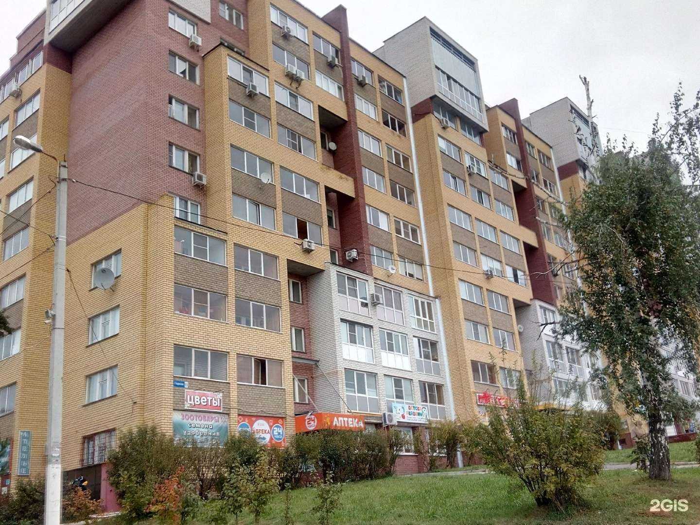 Отзывы на компанию Зоосфера в Нижнем Новгороде c фото - фотография 2 из 2