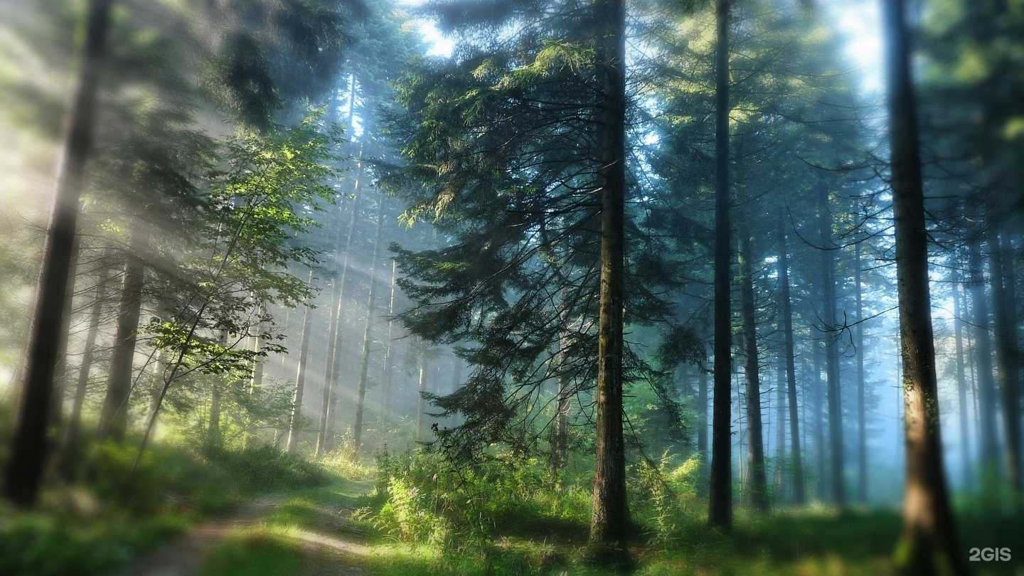 Отзывы на компанию Кателина в Великих Луках c фото