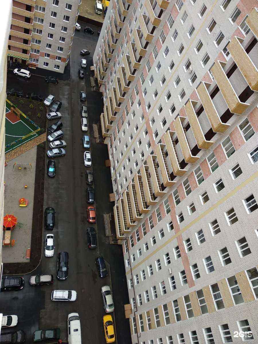 Отзывы на компанию Дракоша в Ставрополе c фото - фотография 2 из 2