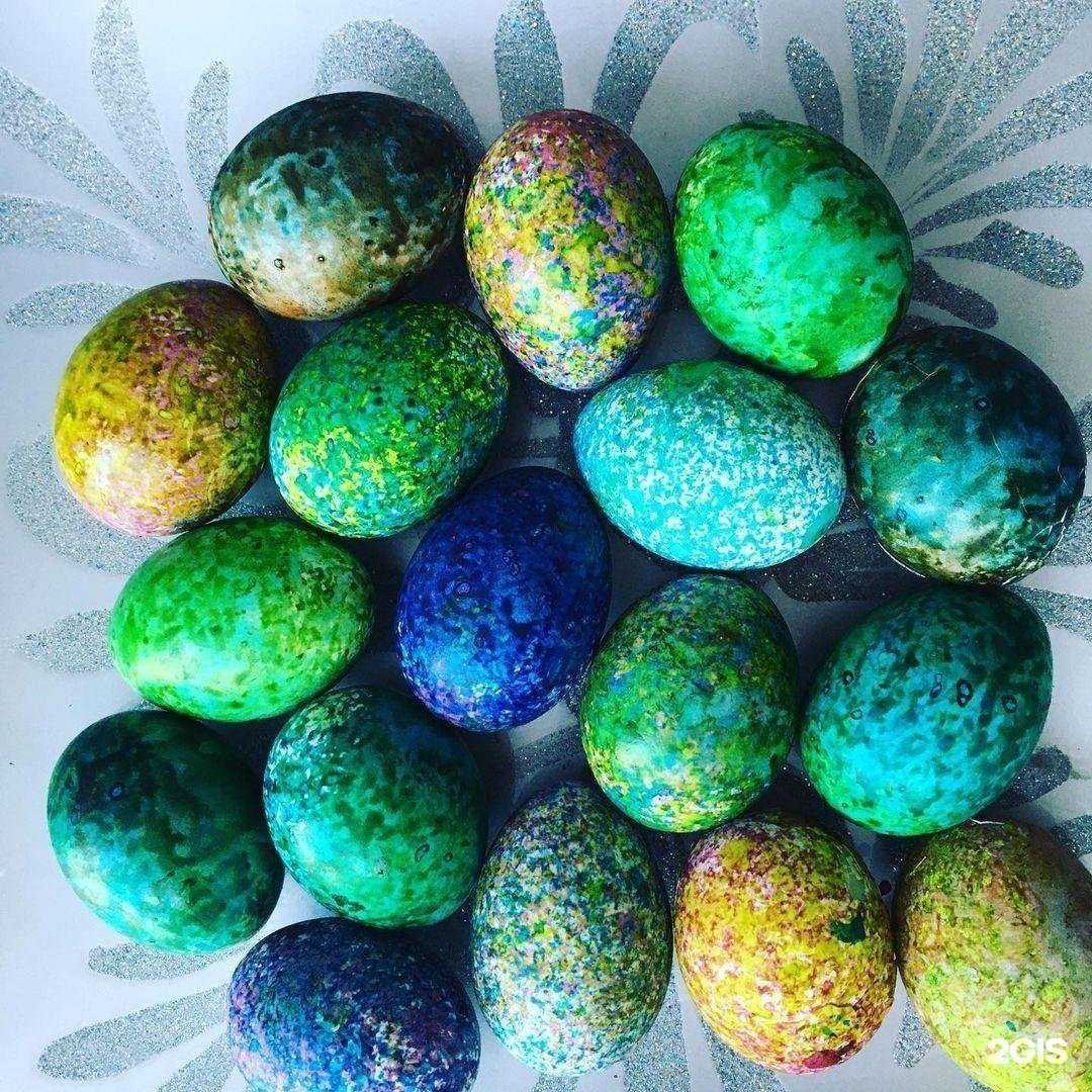 Отзывы на компанию Хаски с Аляски в г. Ивантеевка c фото