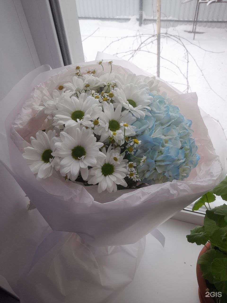 Отзывы на компанию Лаванда в г. Бузулук c фото