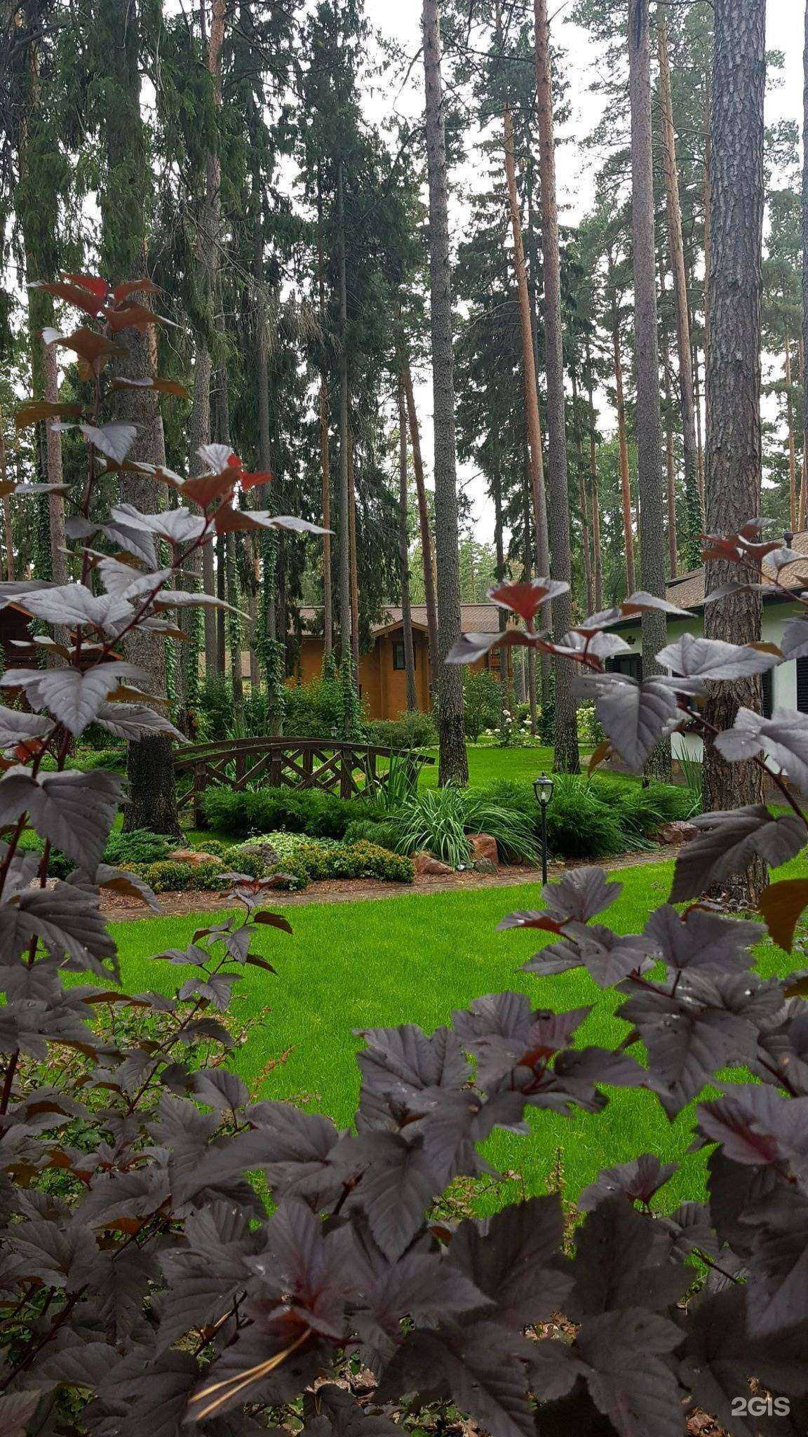 Отзывы на компанию Вербное настроение в г. Нижний Новгород c фото