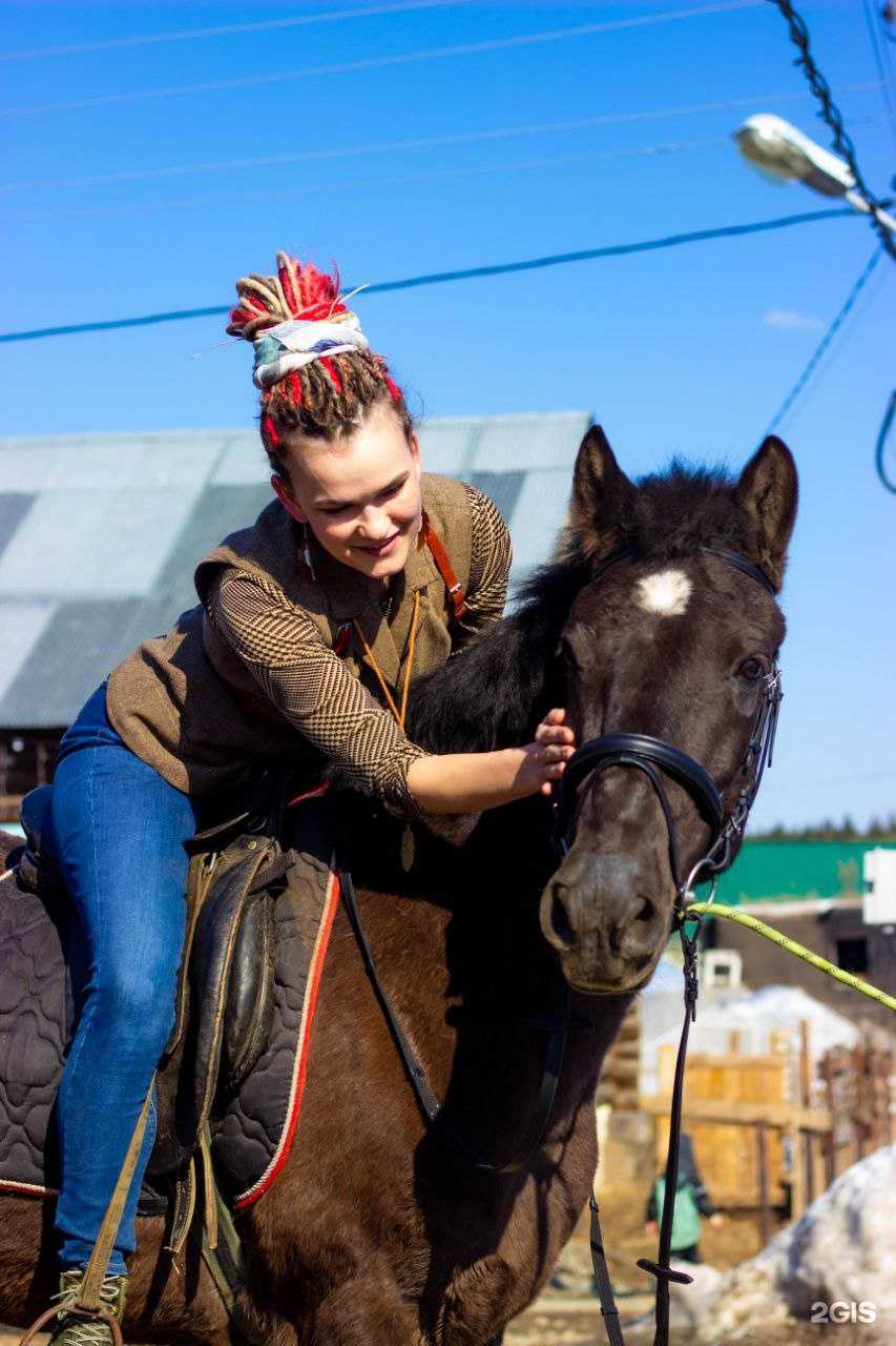 Отзывы на компанию Black pony&White horse в Перми c фото