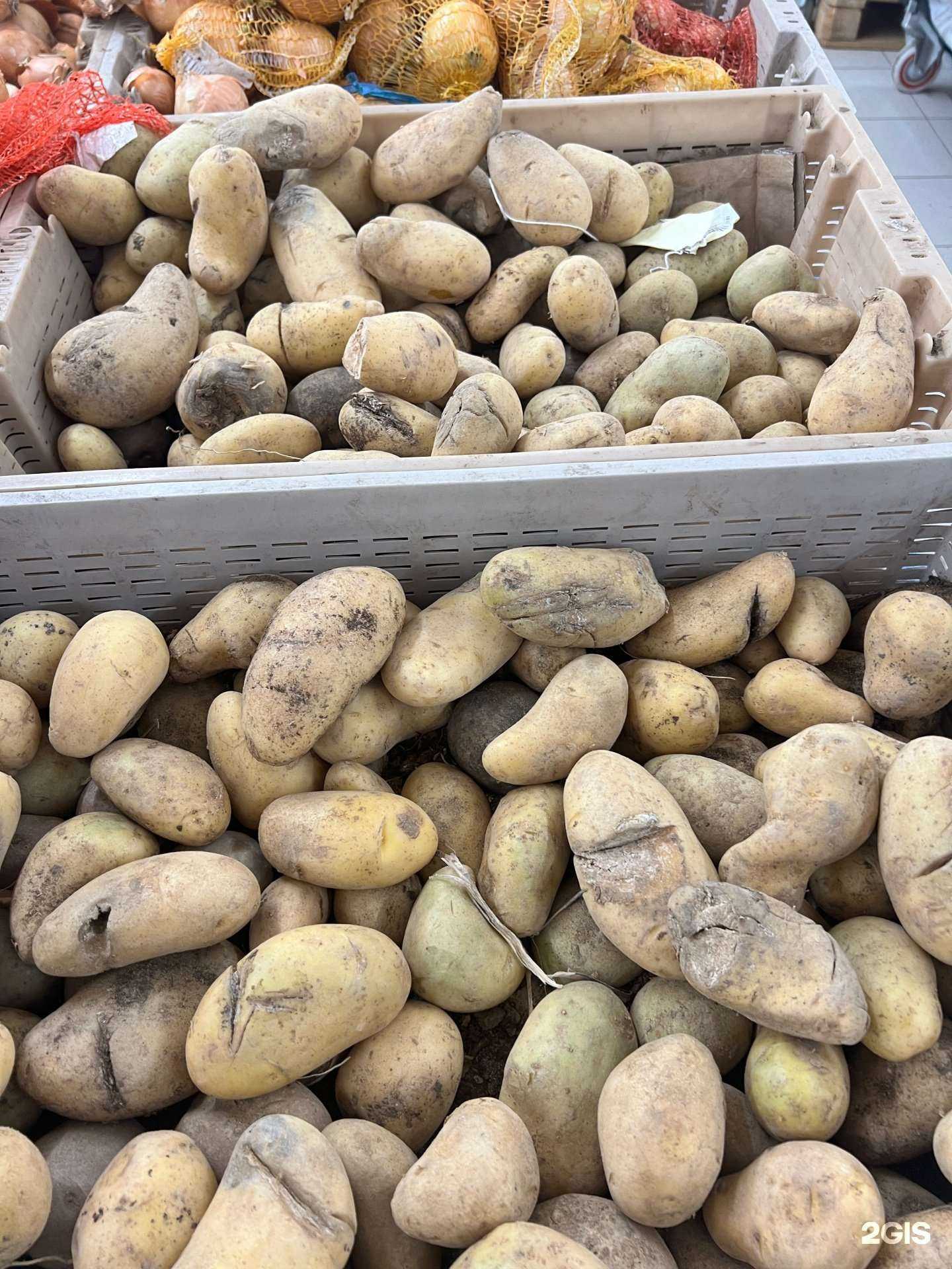 Отзывы на компанию Магнит Семейный в г. Волжский c фото