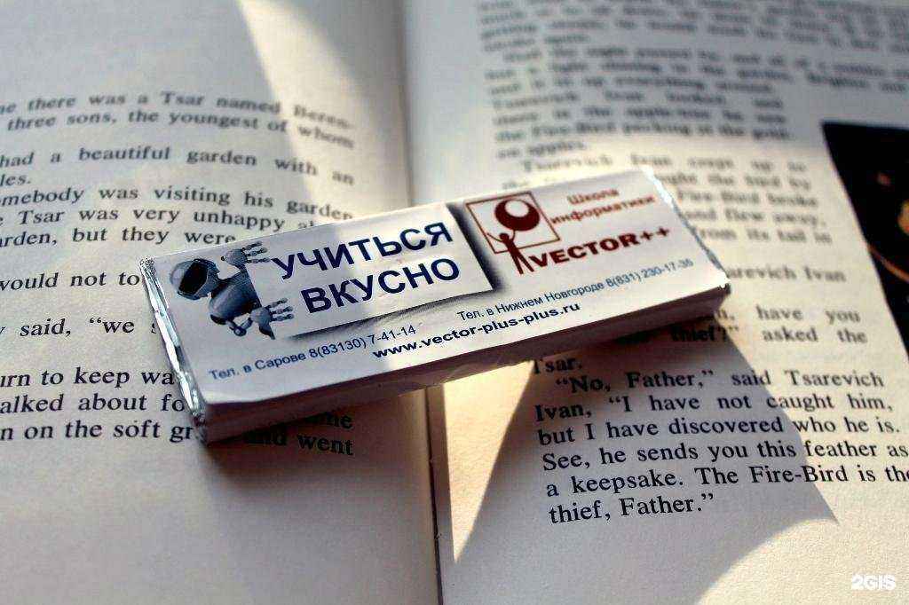 Отзывы на компанию Вектор++ в Сарове c фото