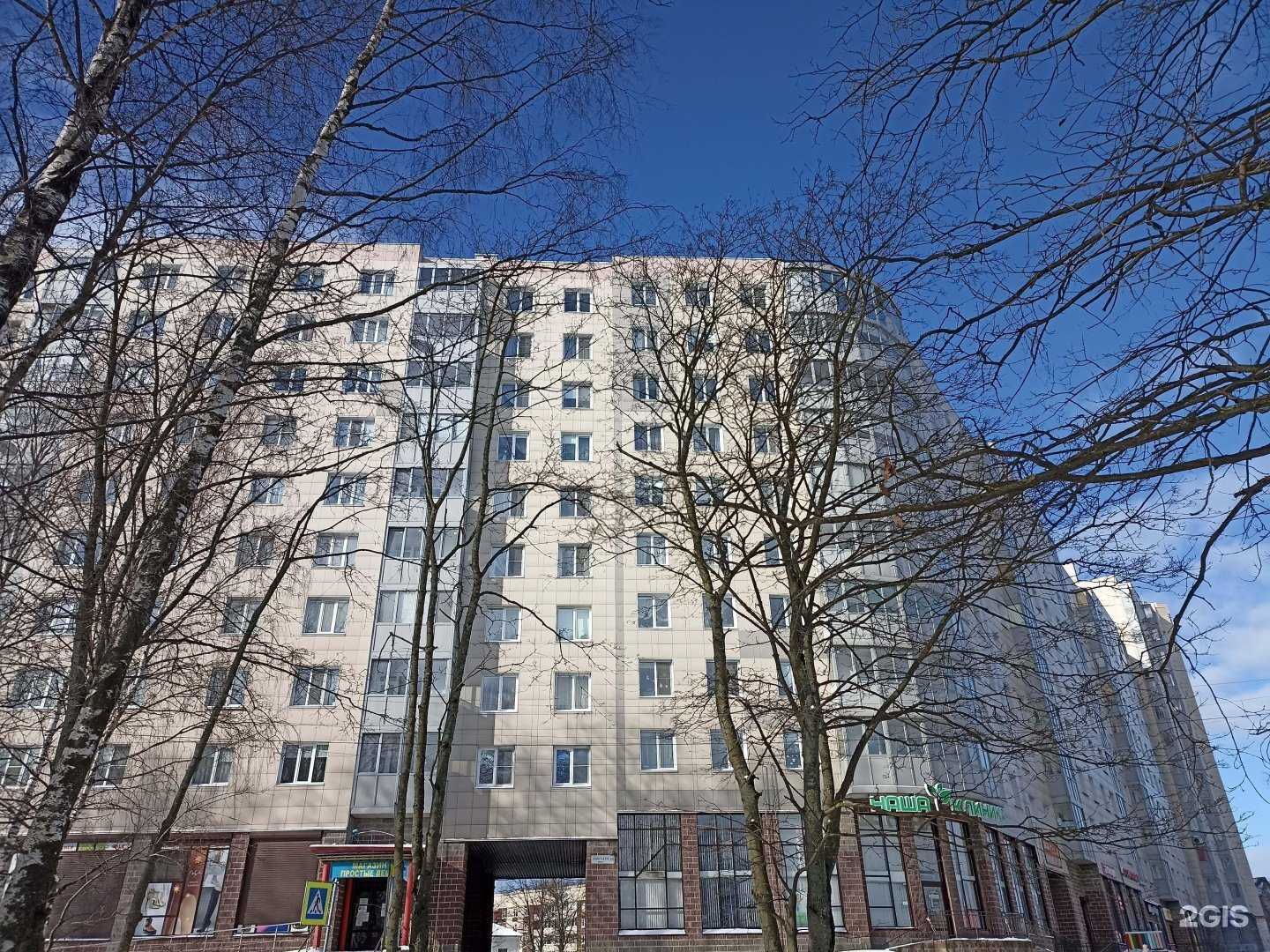 Отзывы на компанию Твой цвет в Выборге c фото - фотография 2 из 2