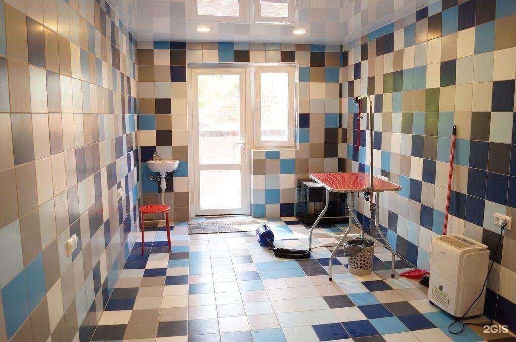 Отзывы на компанию Доквил в Одинцове c фото