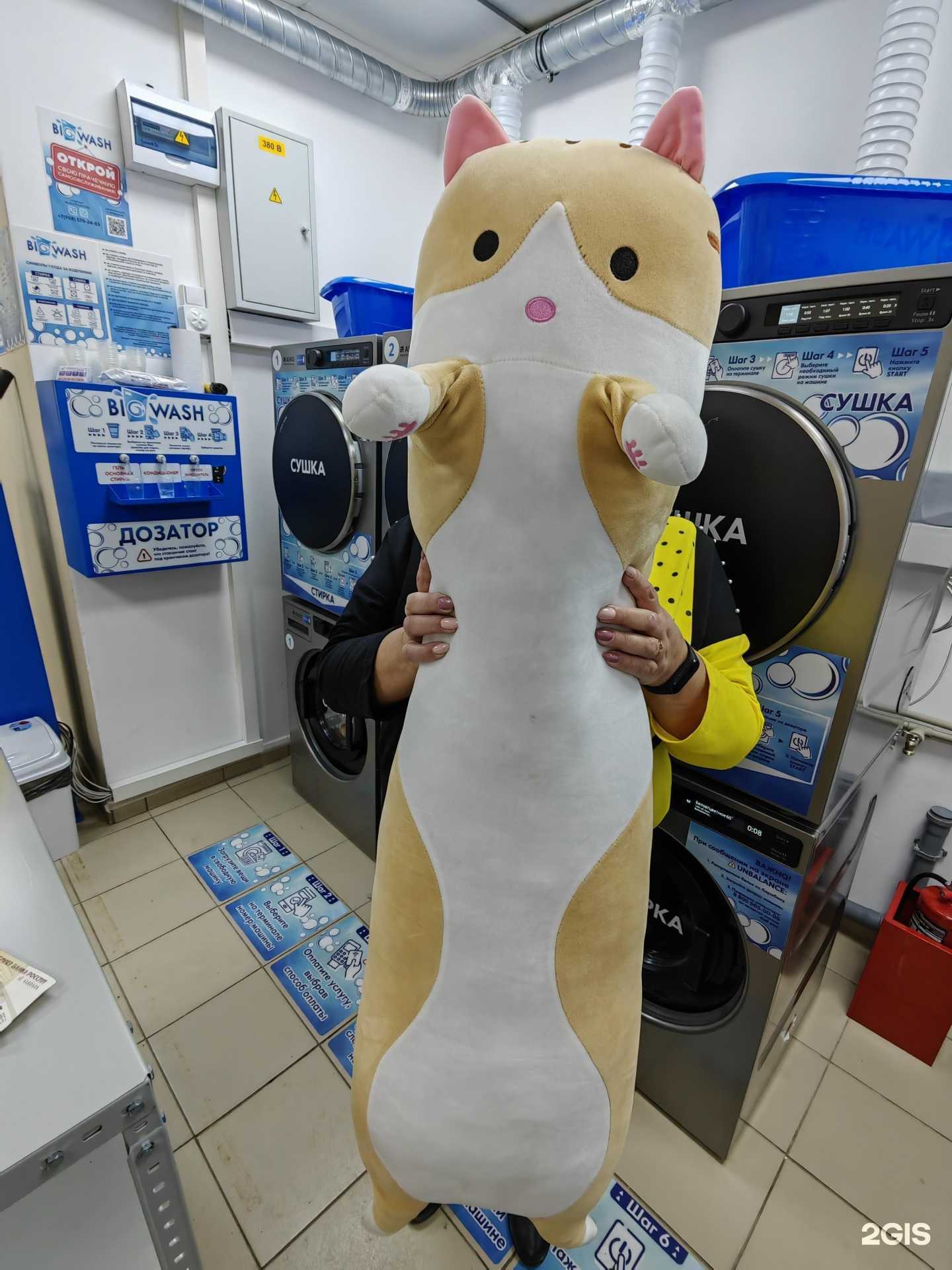 Отзывы на компанию Big wash в Кирове c фото