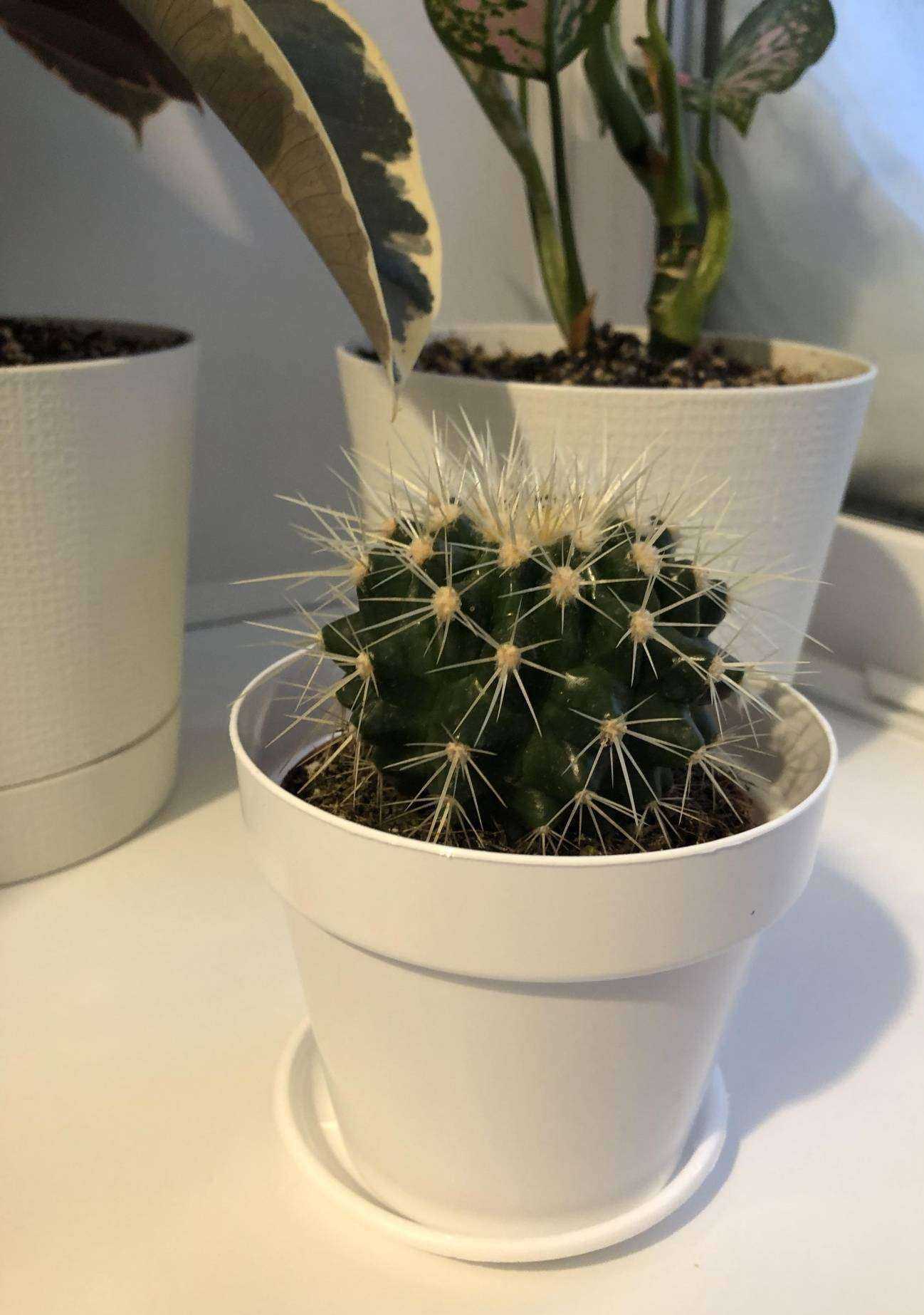 Отзывы на компанию Азалия в Томске c фото