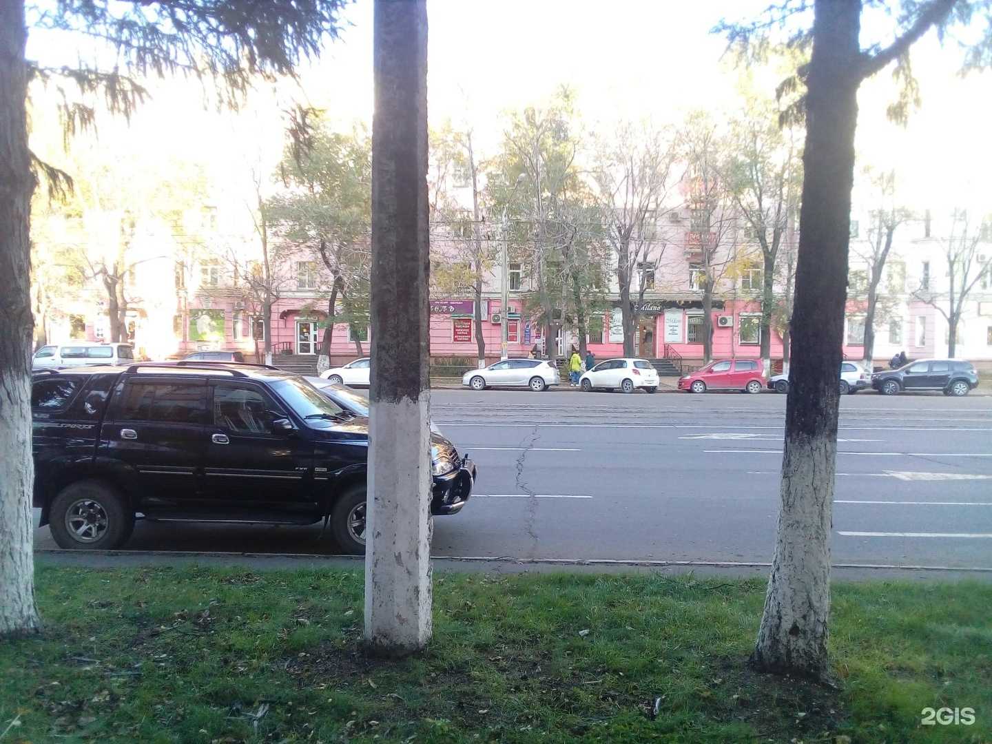 Отзывы на компанию Зоомир в Комсомольске-на-Амуре c фото - фотография 2 из 2