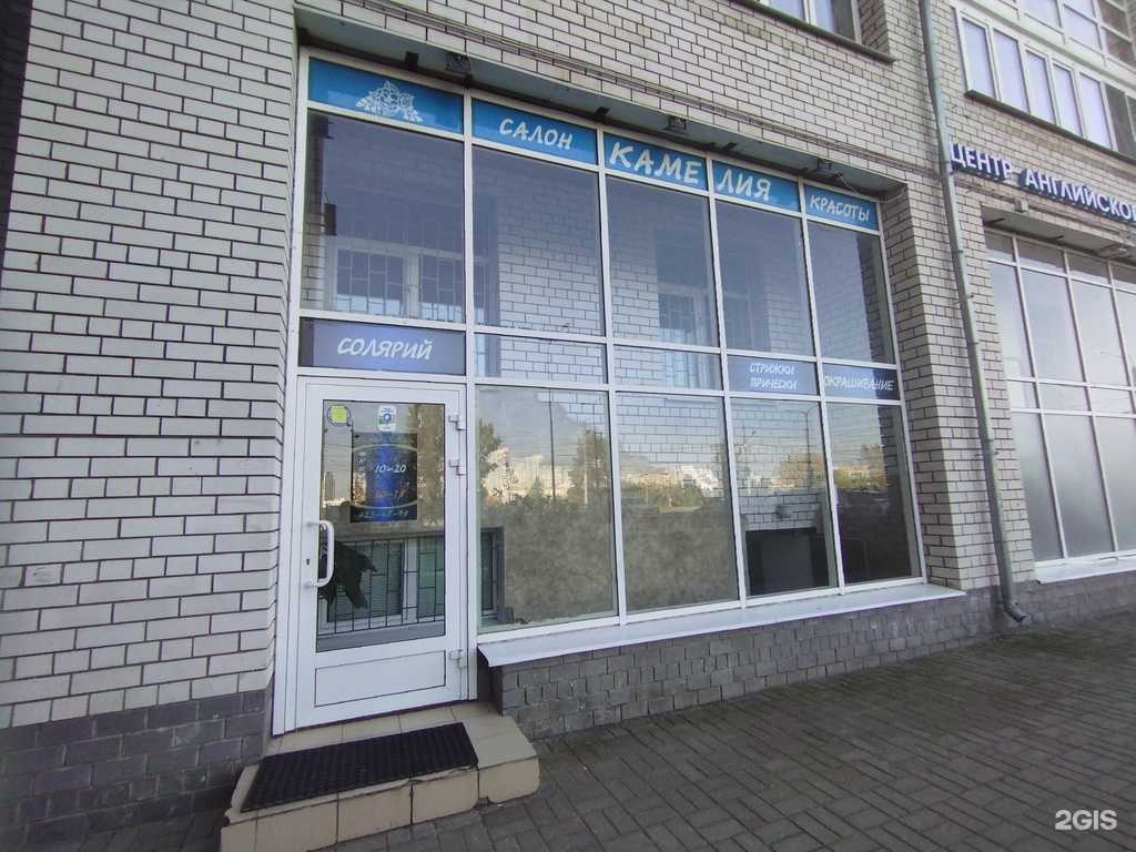 Отзывы на компанию Камелия в Нижнем Новгороде c фото