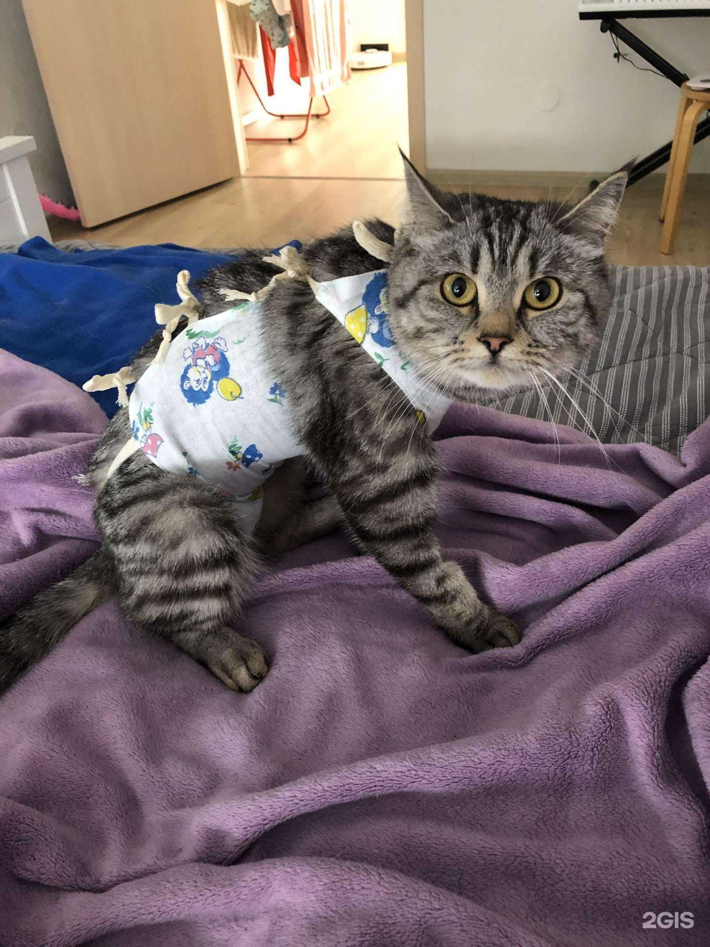 Отзывы на компанию Ветгоспиталь на широкой речке в г. Екатеринбург c фото