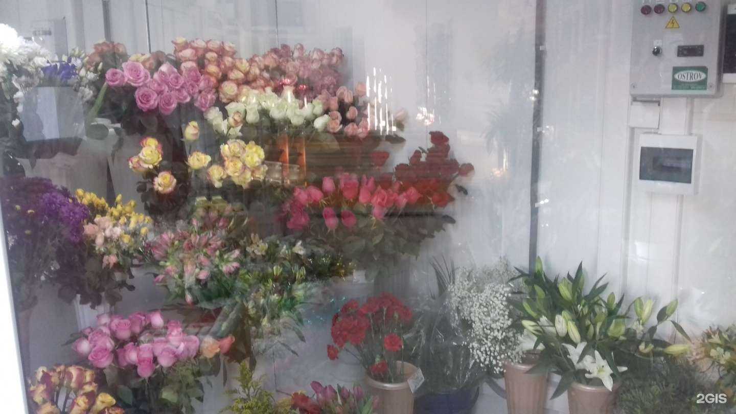 Отзывы на компанию Магнолия в г. Курган c фото