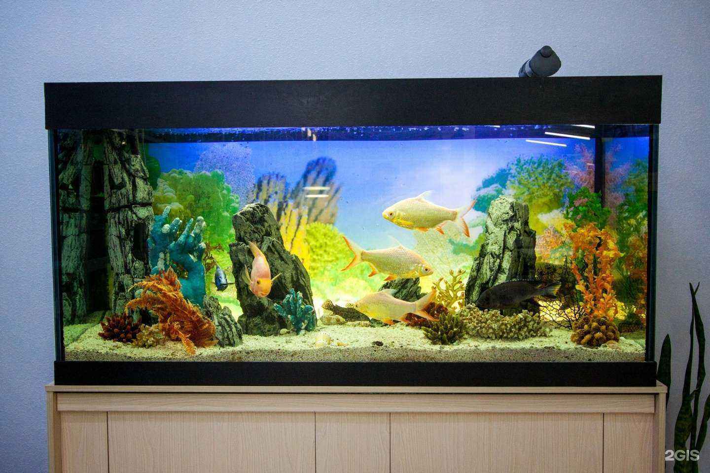 Отзывы на компанию Гармония в Перми c фото