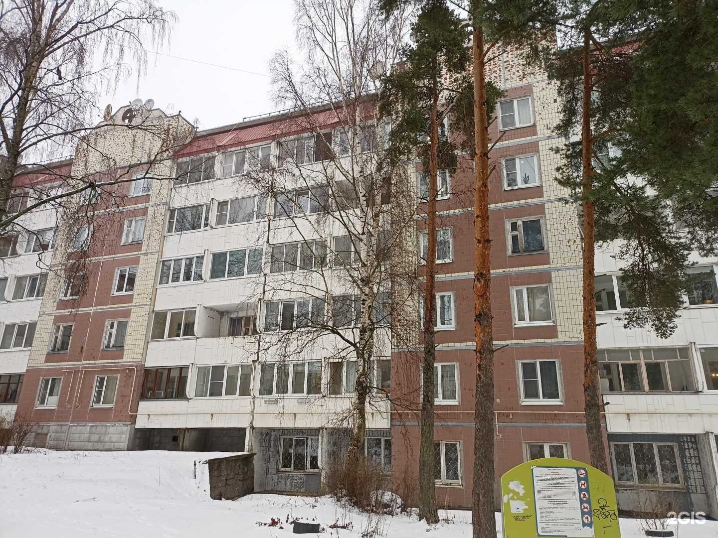 Отзывы на компанию Колибри  в Выборге c фото - фотография 2 из 2