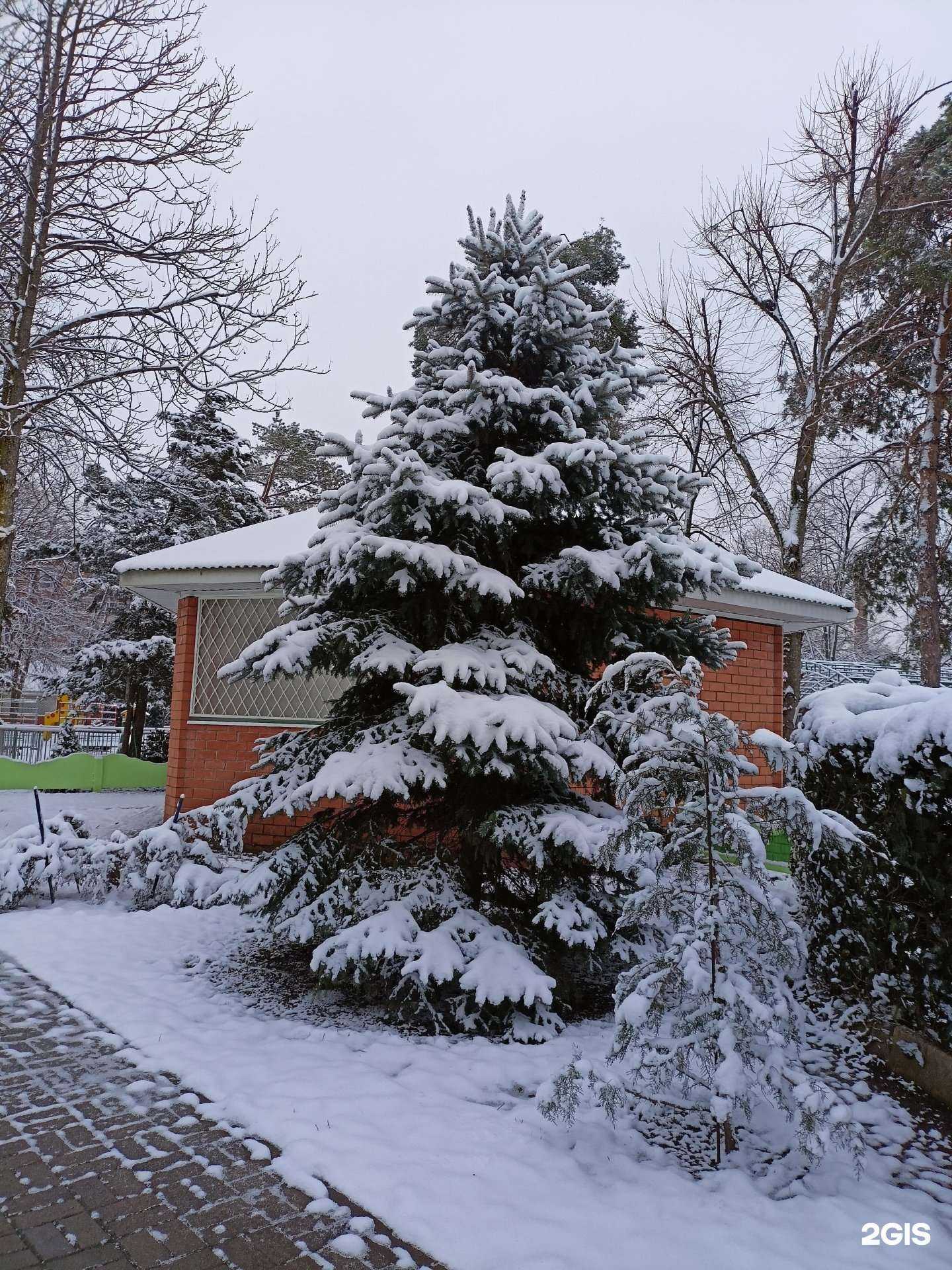 Отзывы на компанию Березка в г. Краснодар c фото