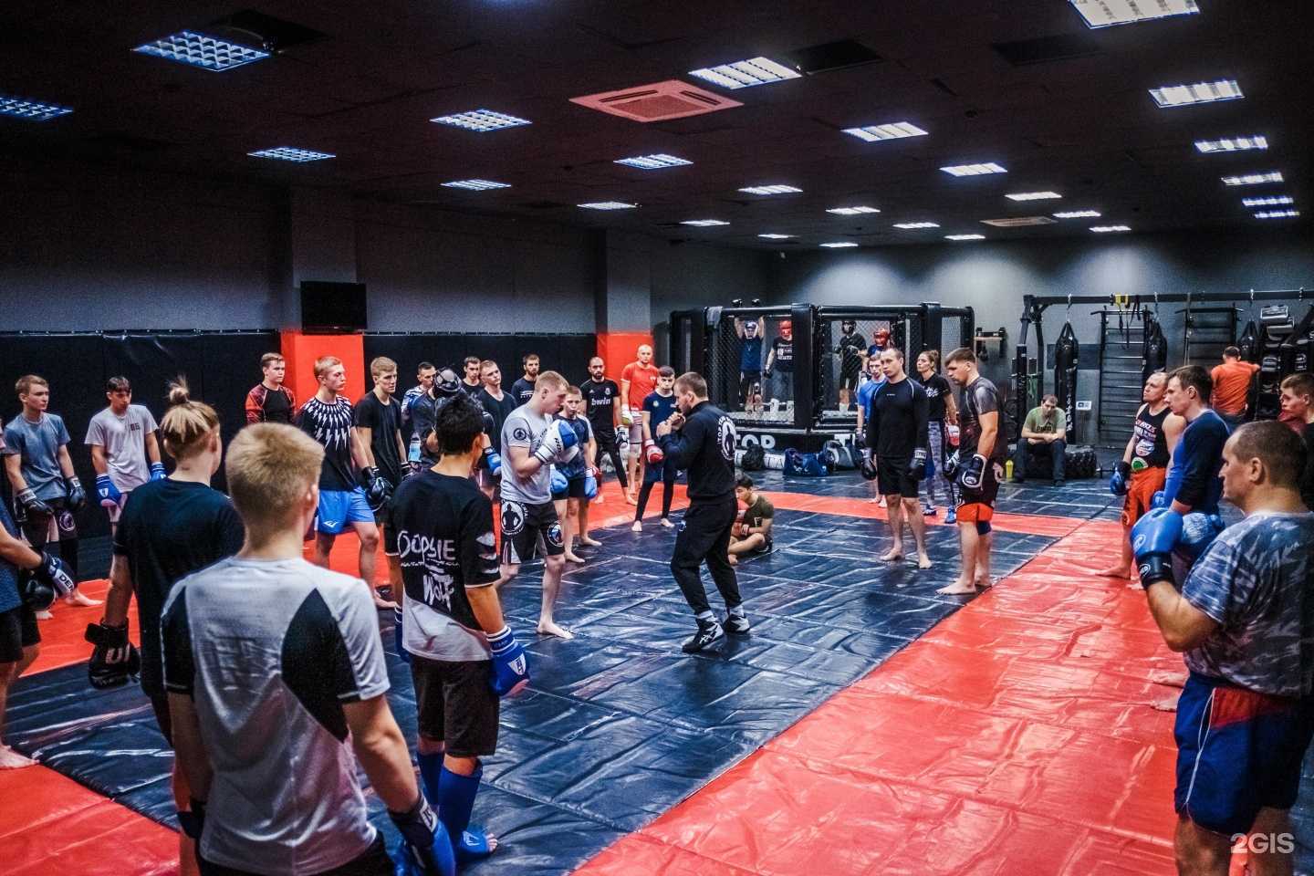 Отзывы на компанию Top Team Siberia в г. Барнаул c фото