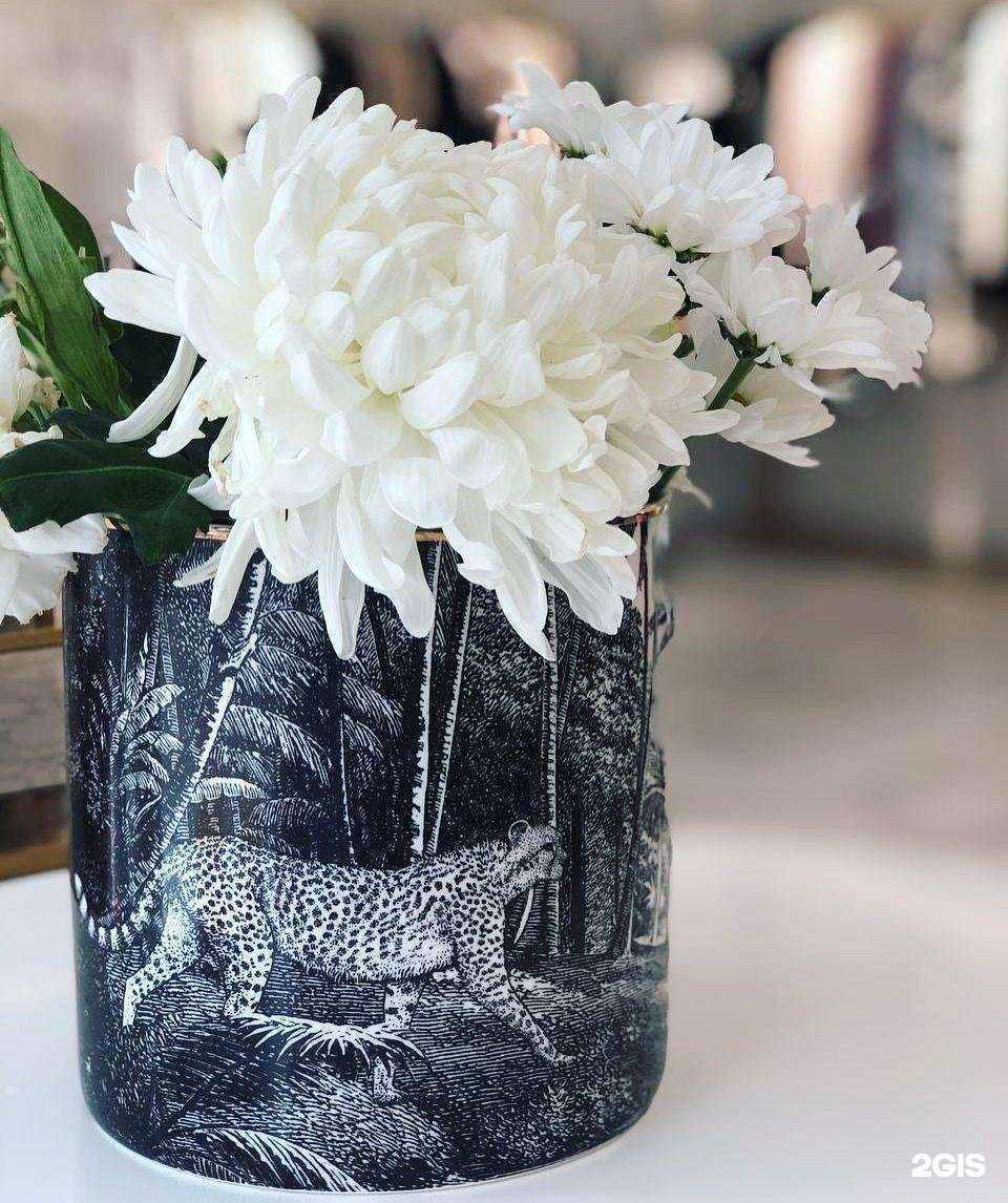 Отзывы на компанию Sofia Ti в Владивостоке c фото