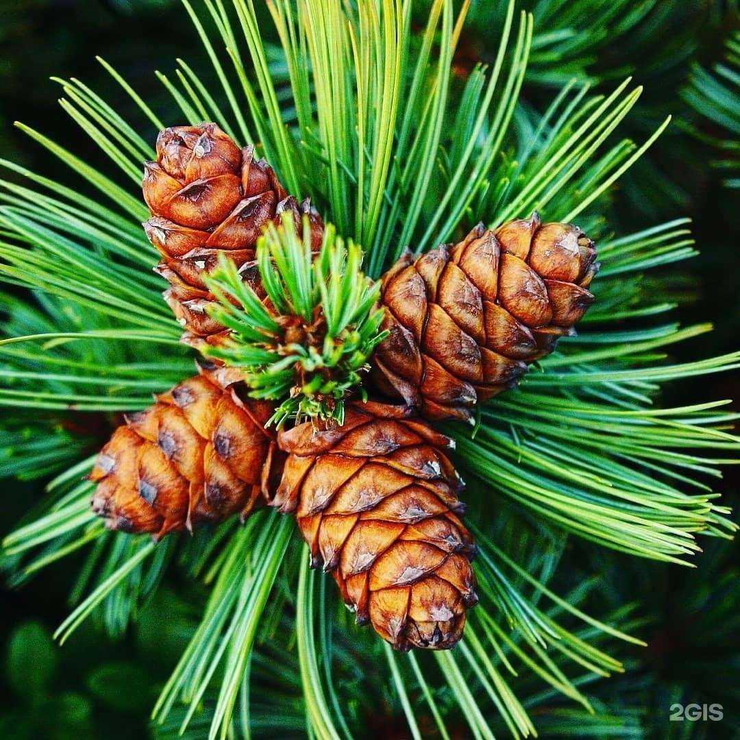 Отзывы на компанию Экспресс-пригород в Новосибирске c фото