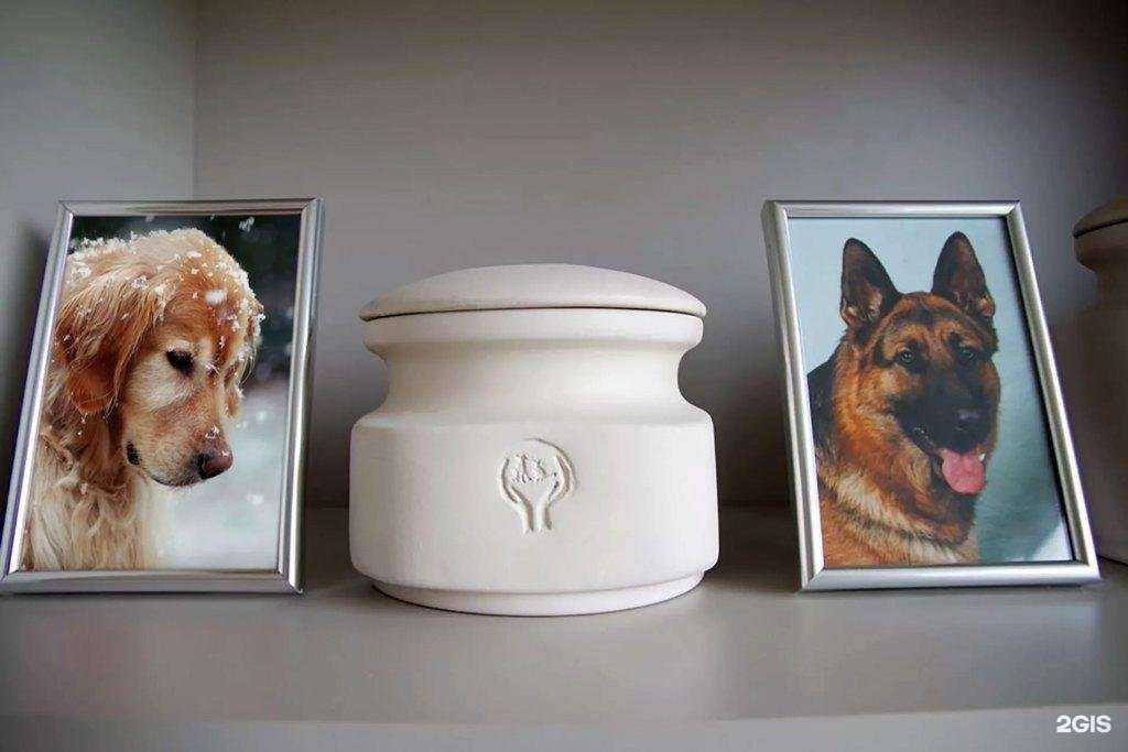 Отзывы на компанию Бродяга74 в г. Челябинск c фото