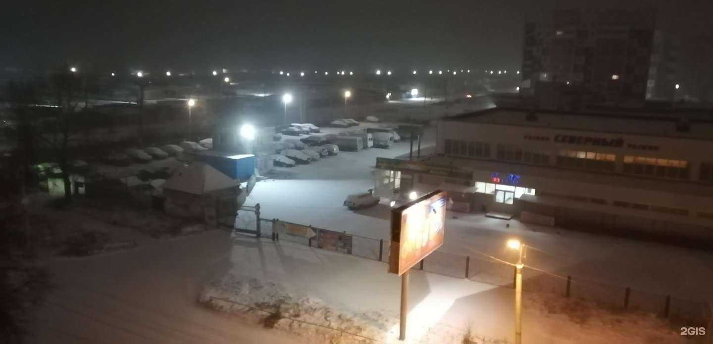 Отзывы на компанию ЗооМаг в Миассе c фото - фотография 2 из 2