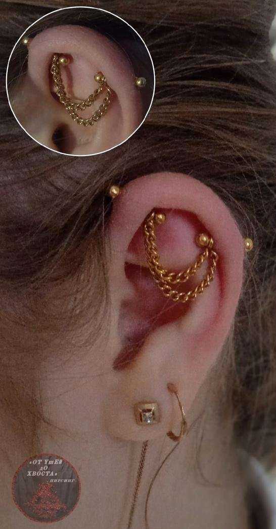 Отзывы на компанию От ушей до хвоста в Балакове c фото