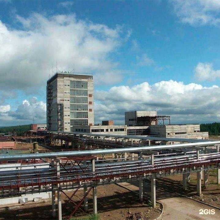 Отзывы на компанию Сакура-инвест в Красноярске c фото