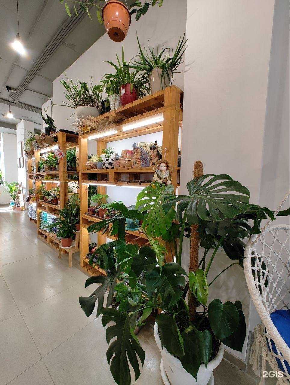 Отзывы на компанию Алиссум в г. Королёв c фото