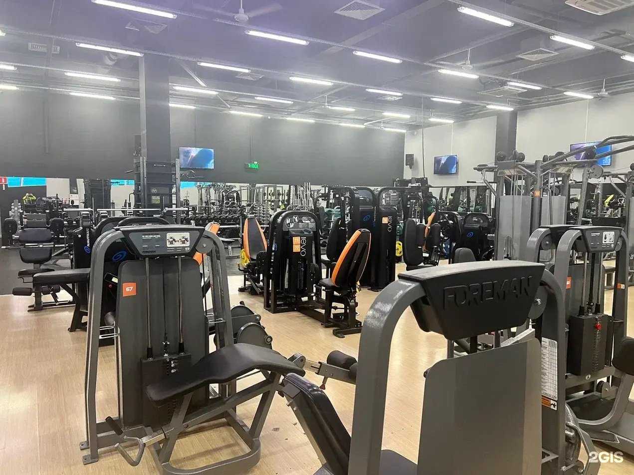 Отзывы на компанию ALEX FITNESS в г. Новосибирск c фото