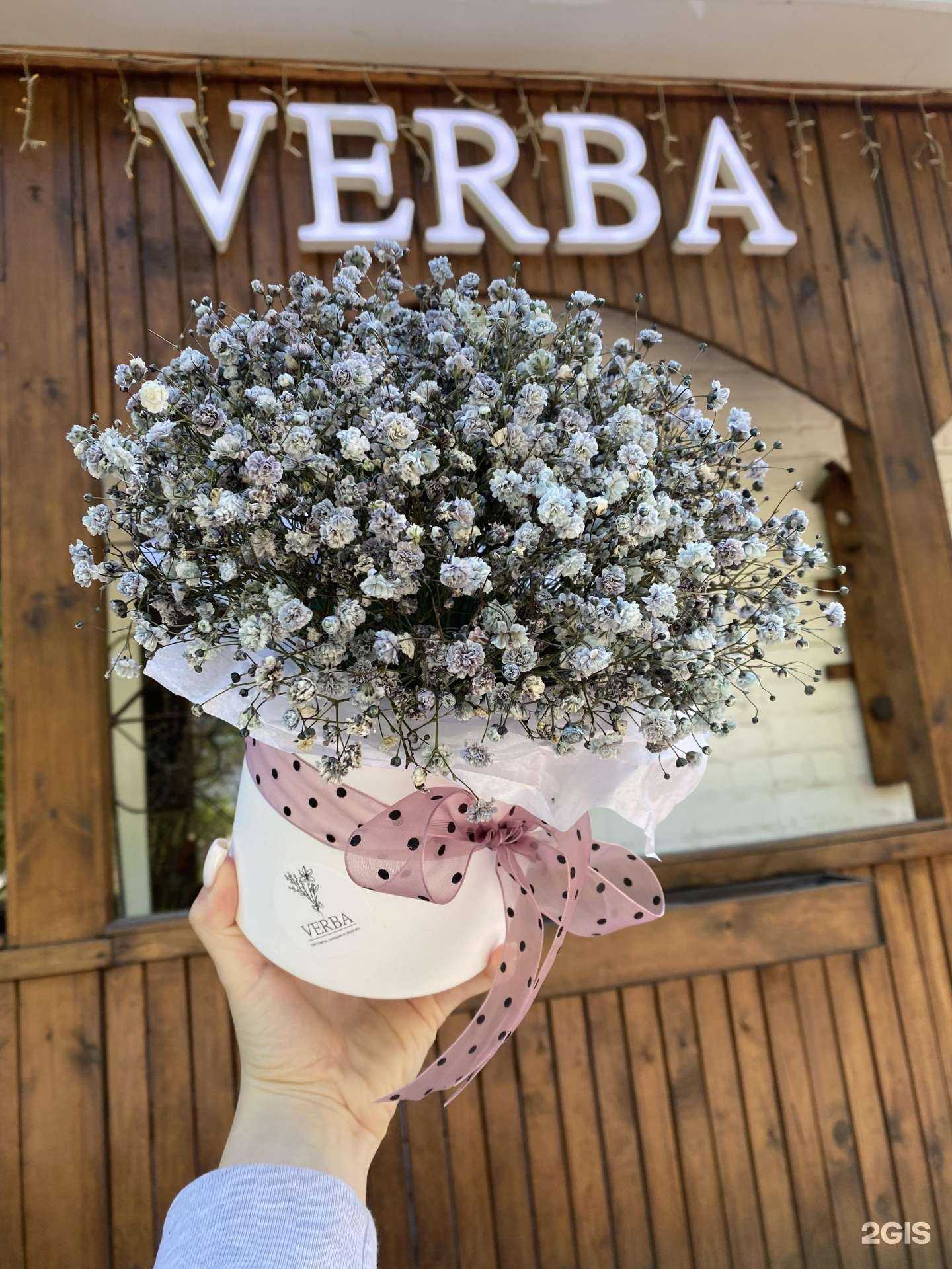 Отзывы на компанию Verba в Шахтах c фото