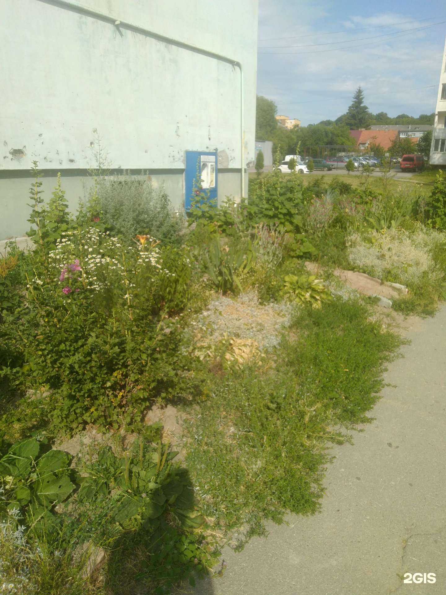 Отзывы на компанию Автомат по продаже воды в Гурьевске c фото