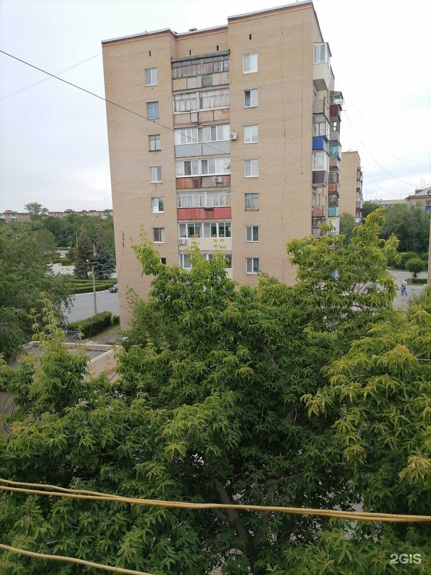 Отзывы на компанию Мир растений в Гае c фото - фотография 2 из 2