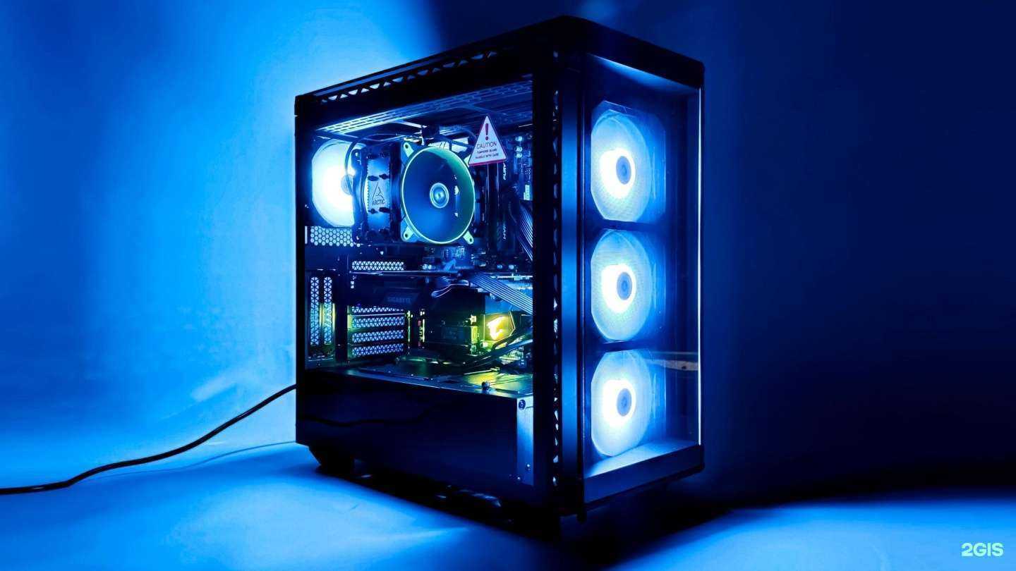 Отзывы на компанию Bushido в г. Сургут c фото