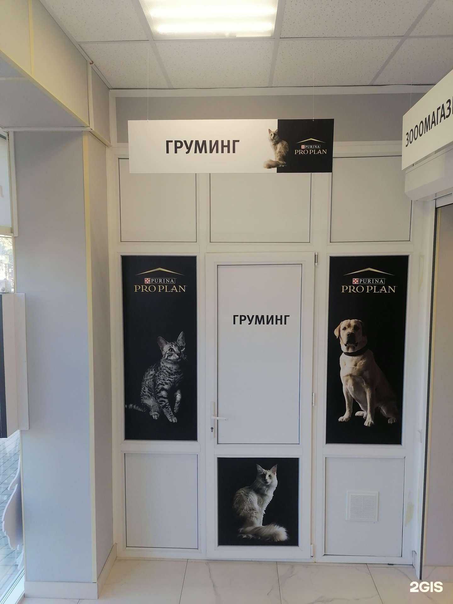 Отзывы на компанию Айболит в г. Новошахтинск c фото