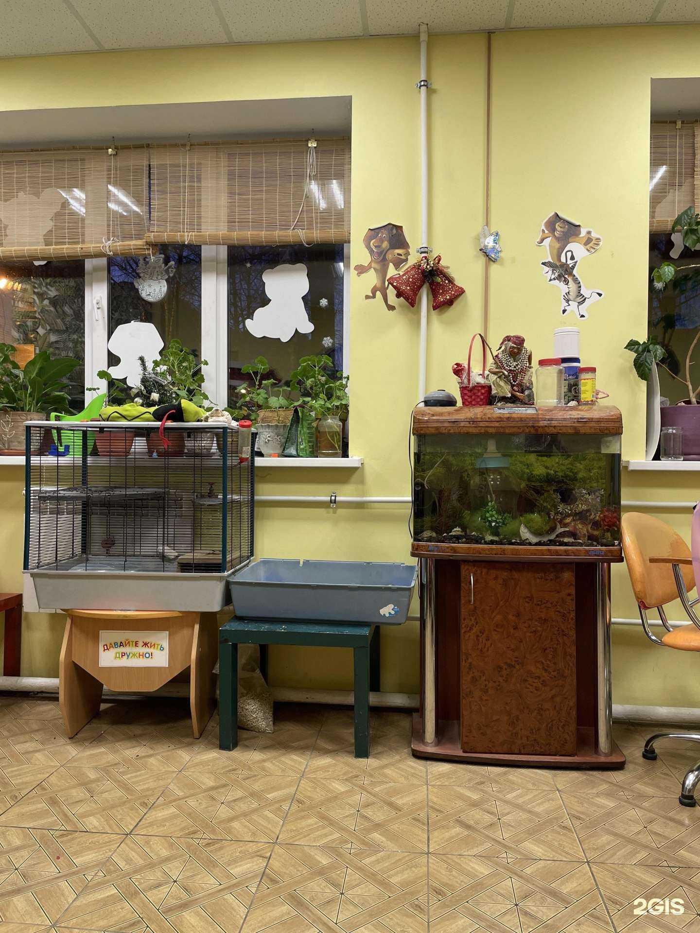 Отзывы на компанию Лимпопо в Казани c фото