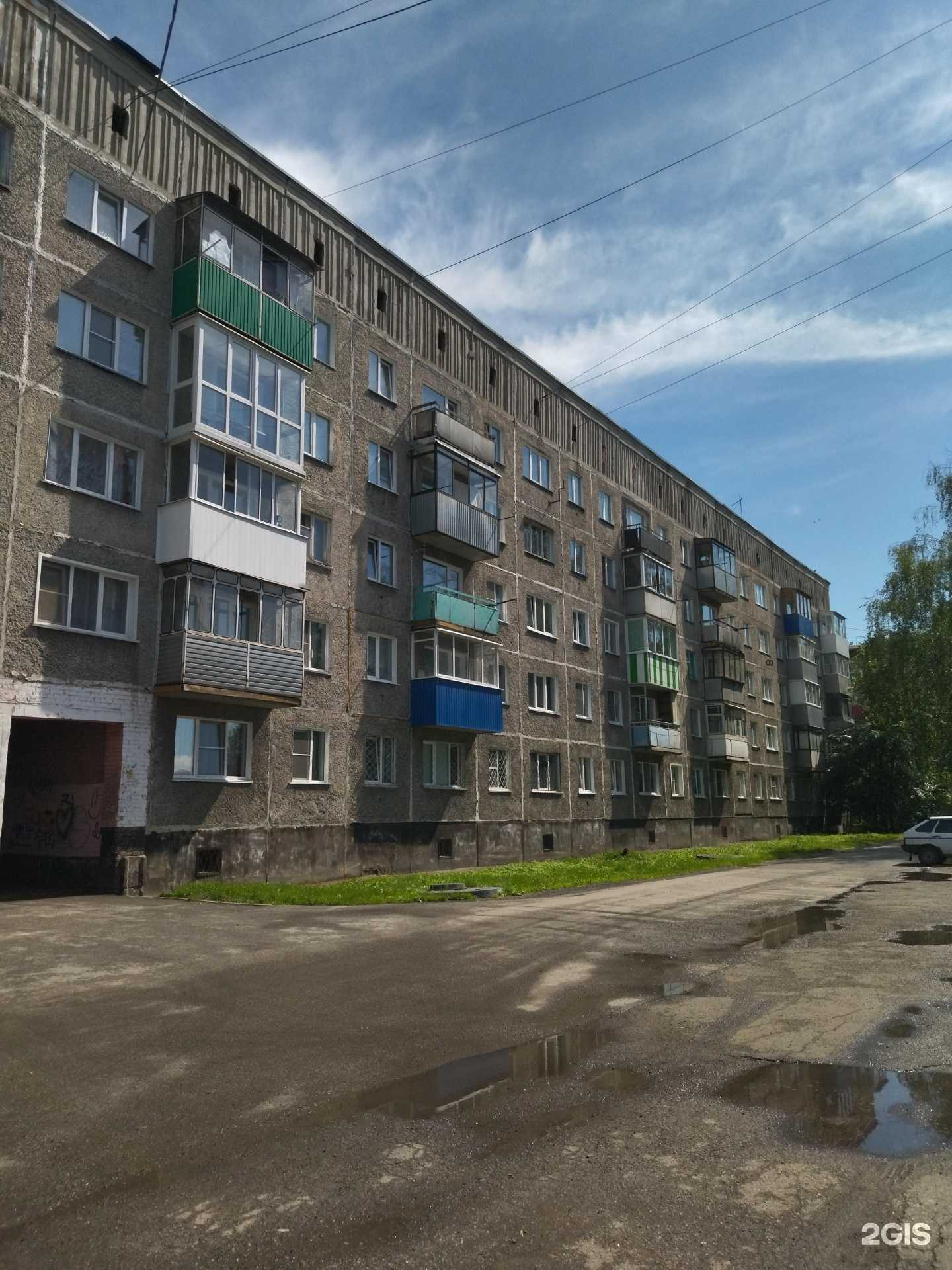 Отзывы на компанию Студия груминга в г. Осинники c фото