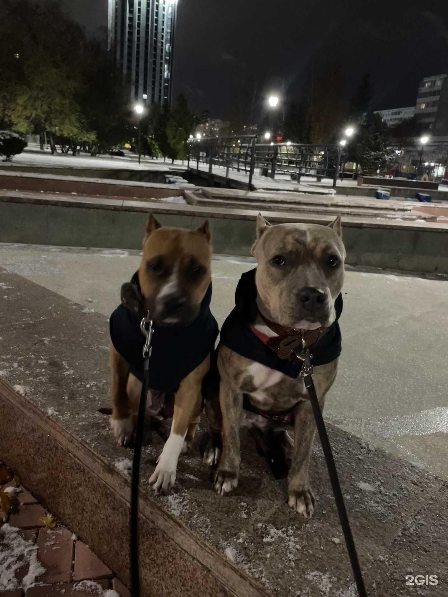 Отзывы на компанию Зоозавр в г. Набережные Челны c фото